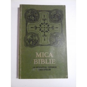 MICA BIBLIE CU ICOANE 